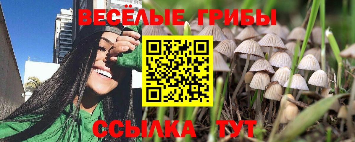 Псилоцибиновые грибы Magic Shrooms  Вход с VPN  Мытищи 