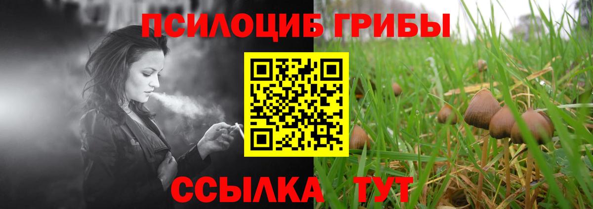 Галлюциногенные грибы Psilocybine cubensis Мытищи