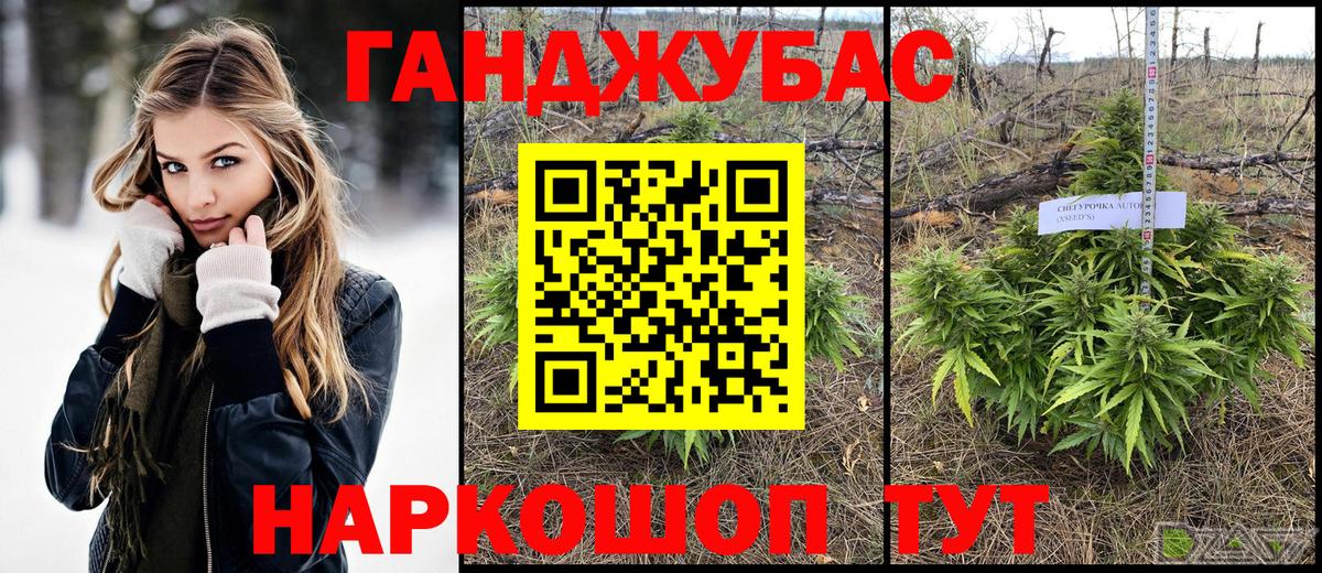 Каннабис планчик Мытищи